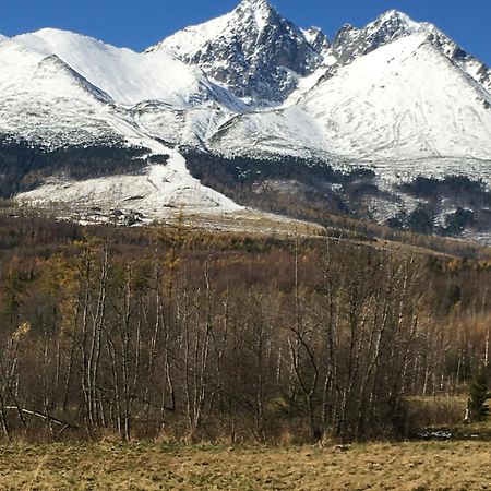 Апартаменти Slnecny Dvor Велика Ломниця Номер фото